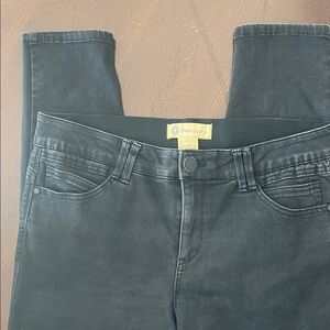 Democracy Ab Technology Jeans. Great Style! These look new! V-Darting in back.